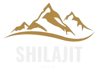 Shalajit Hub